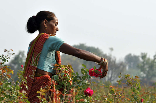 A Guide to Regenerative Gardening at Home