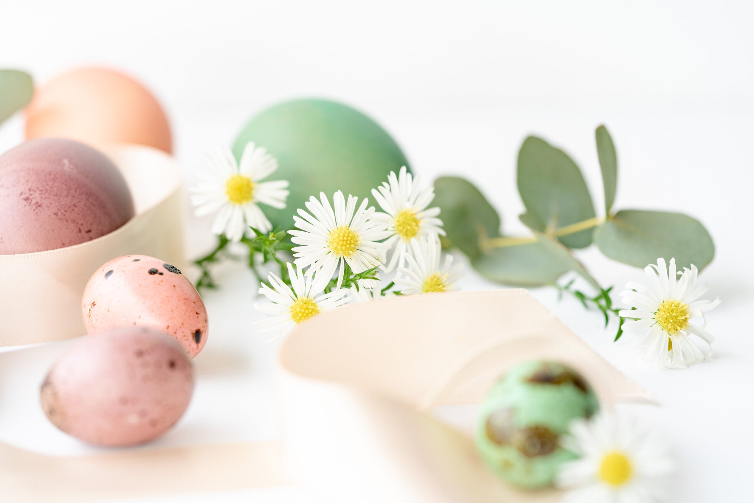 Too Much Chocolate over Easter?