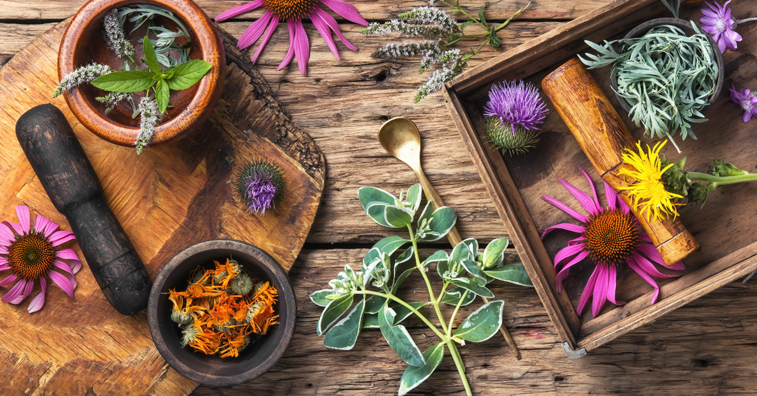 Adaptogens – What are they and why is everyone talking about them?