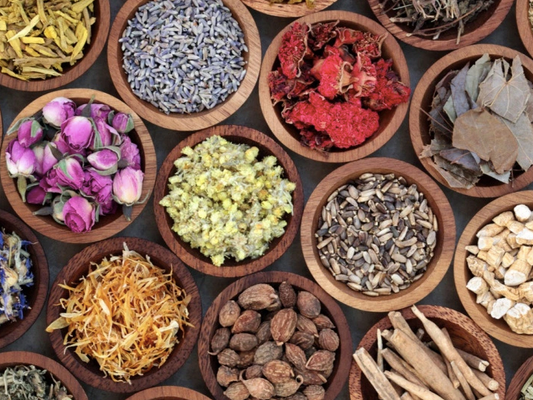 Harnessing the Ancient Power of Adaptogenic Herbs