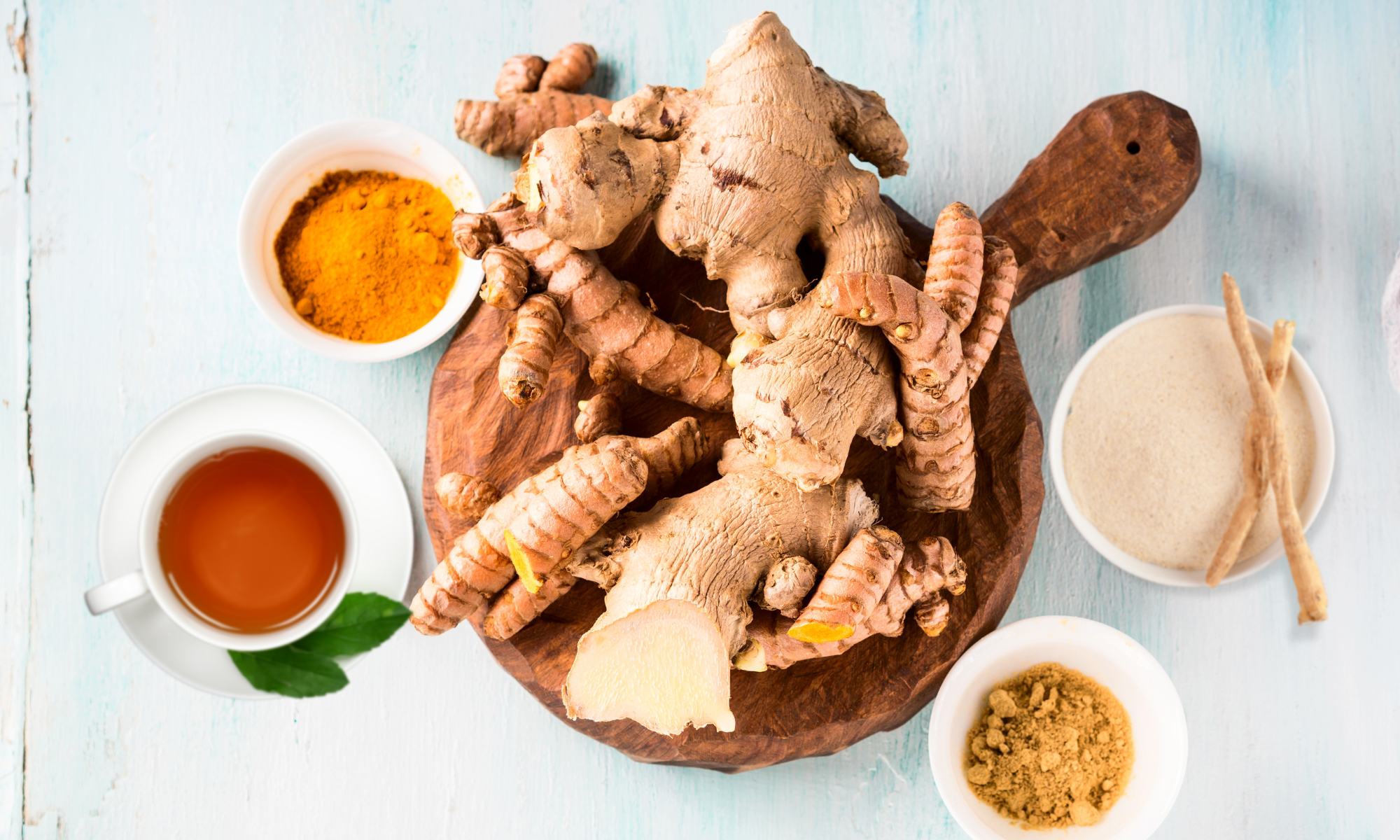 4 Immune Boosting Herbs for Winter