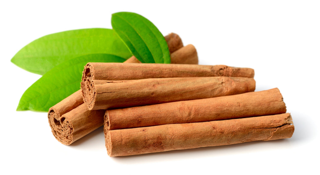 Cinnamon for Spicy Immune Support