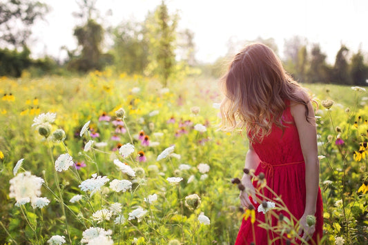 Can Herbs Change Your Mood?