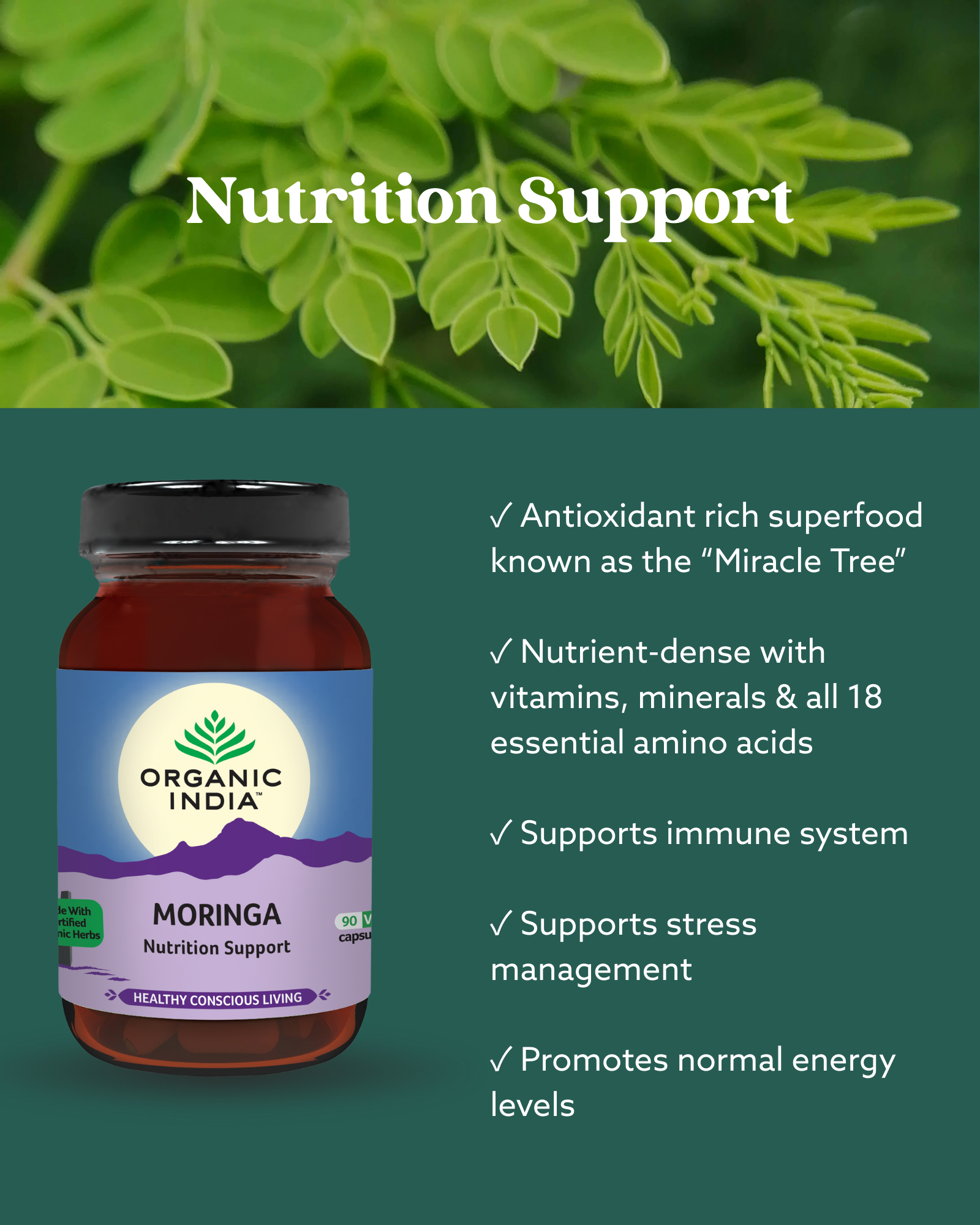 Moringa Capsules