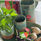Organic India Tulsi Tummy, Tulsi tea, organic tea, tulsi, herbal tea, herbal infusions, sleep tea, turmeric tea, ashwagandha, holy basil, holy basil tea, green tea, lemon ginger tea, tea for sleep, moringa, ORGANIC INDIA, ORGANIC INDIA Australia, herbal supplements