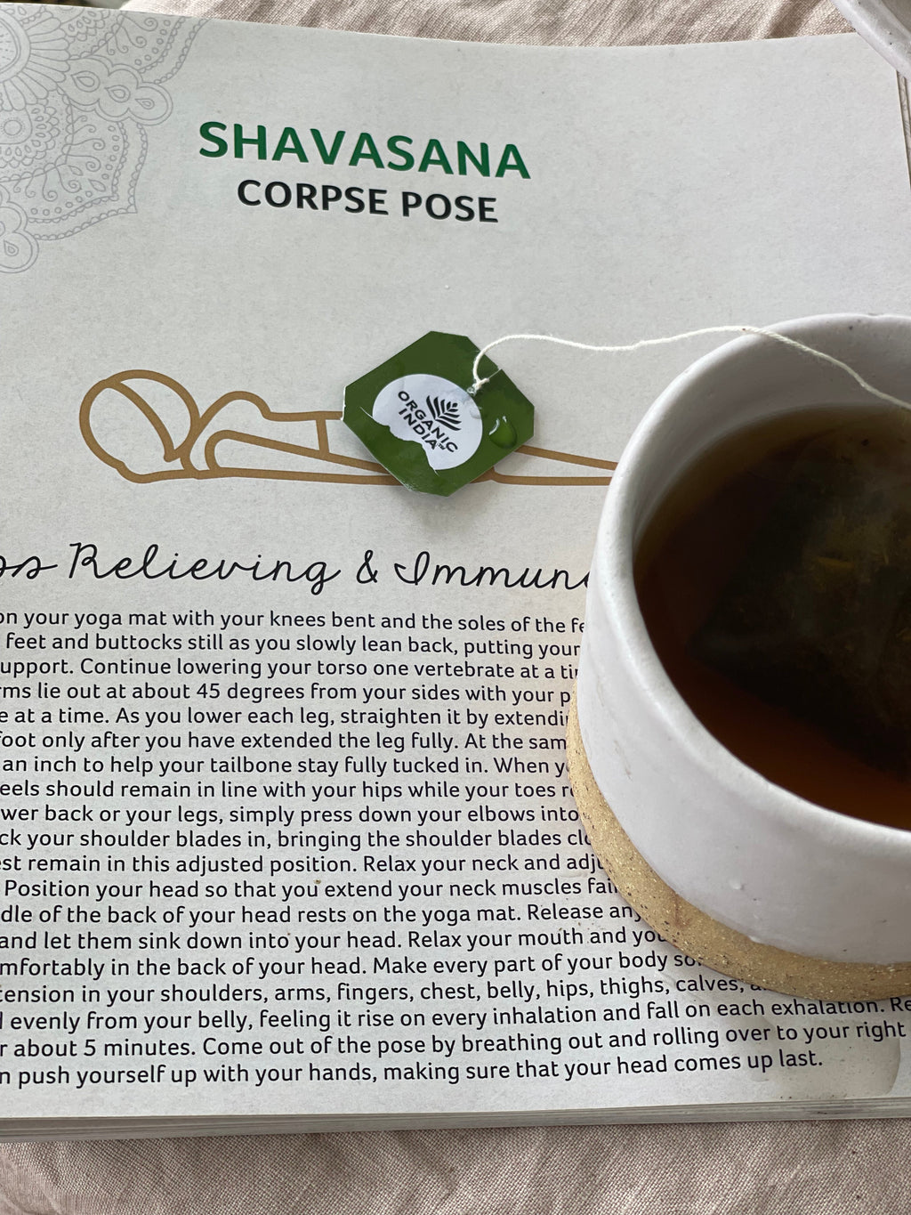 Tulsi Moringa, Tulsi tea, organic tea, tulsi, herbal tea, herbal infusions, sleep tea, turmeric tea, ashwagandha, holy basil, holy basil tea, green tea, lemon ginger tea, tea for sleep, moringa, ORGANIC INDIA, ORGANIC INDIA Australia, herbal supplements